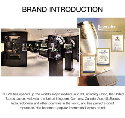 OLEVS CLASSIC QUARTZ Linnoir